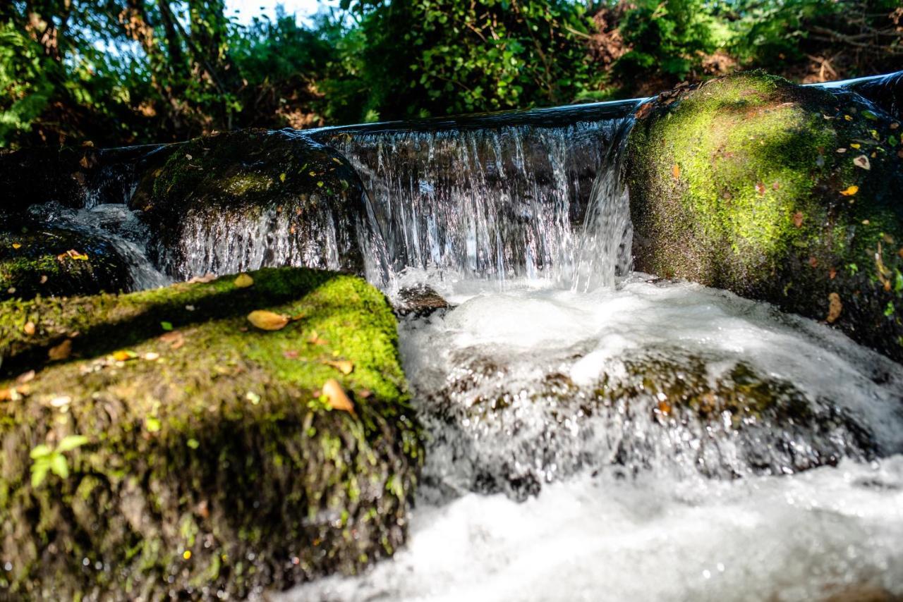 Quinta De Vila Nova - Agroturismo Monção エクステリア 写真
