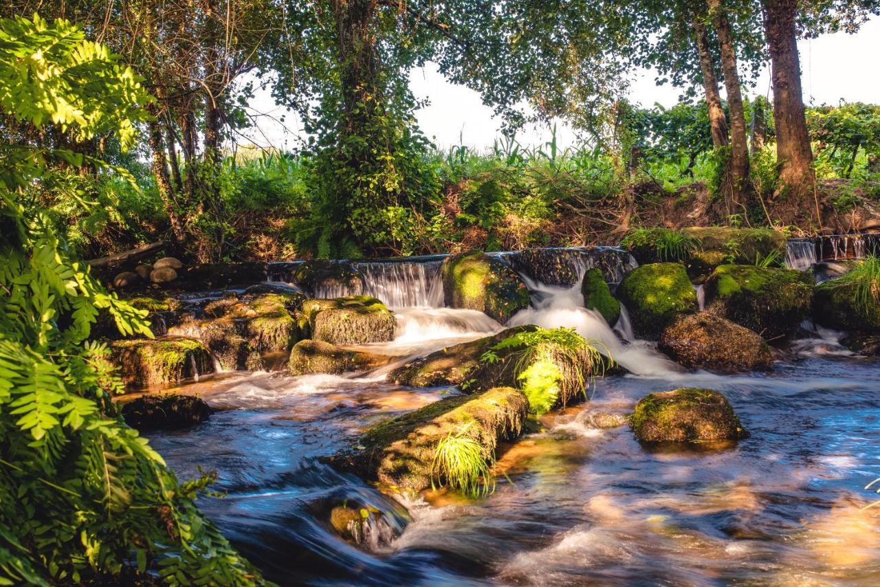 Quinta De Vila Nova - Agroturismo Monção エクステリア 写真