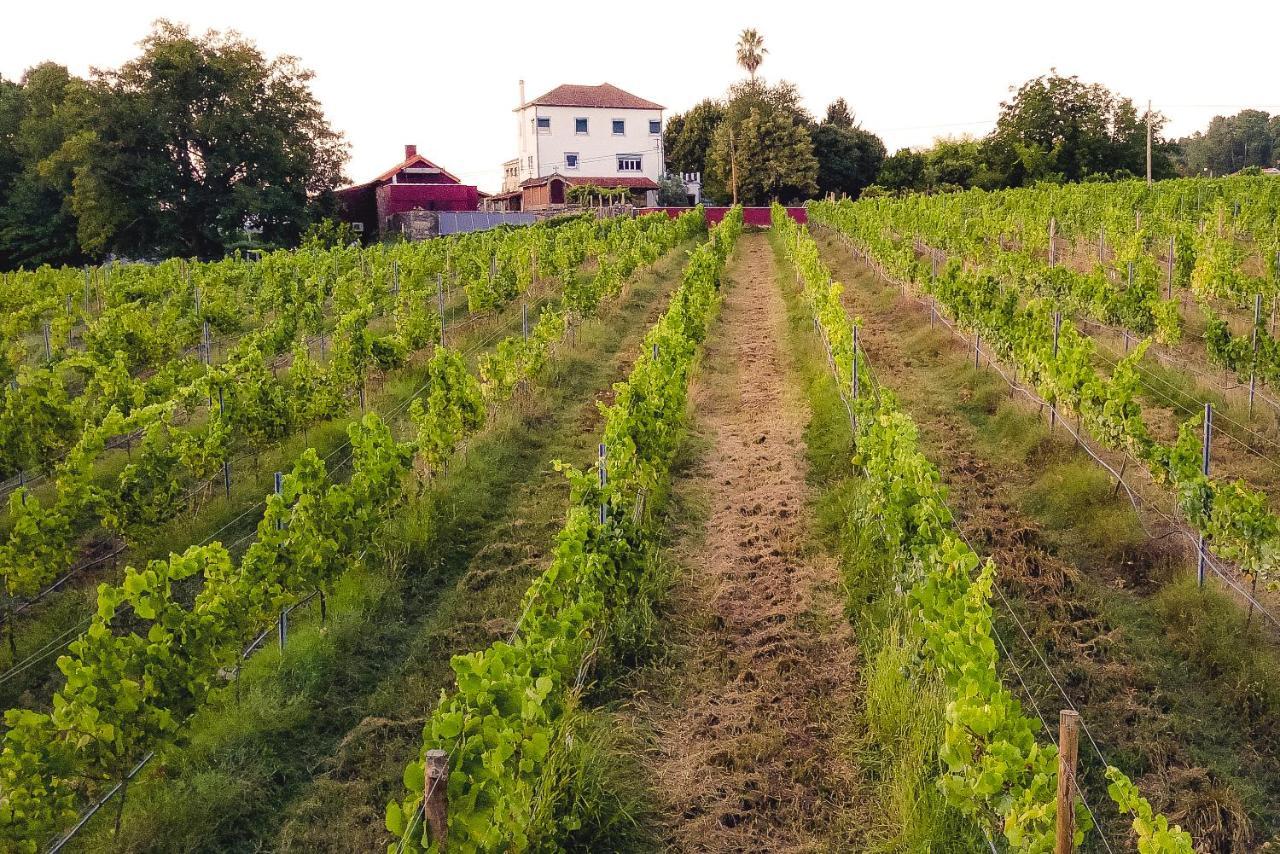 Quinta De Vila Nova - Agroturismo Monção エクステリア 写真
