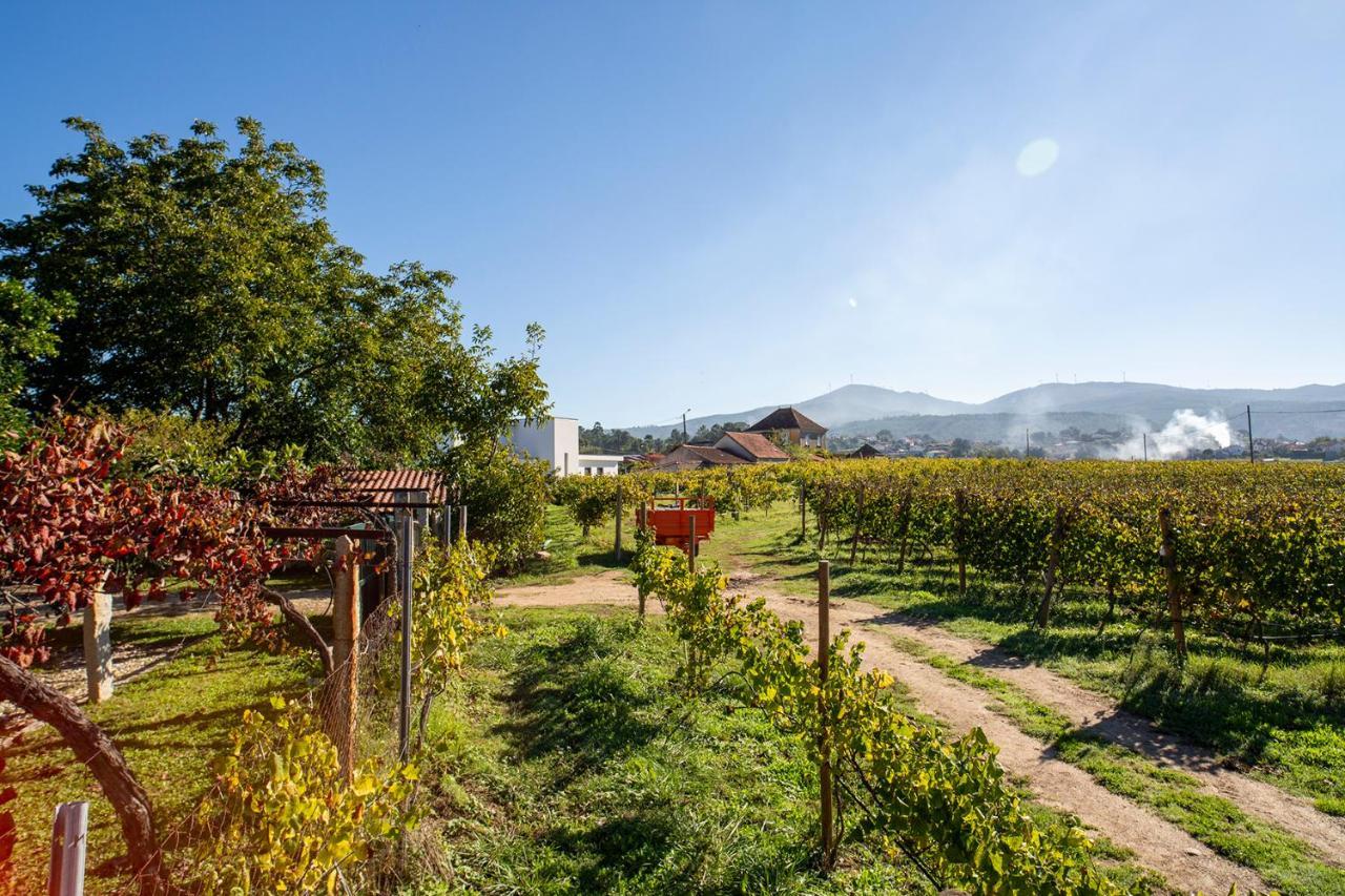 Quinta De Vila Nova - Agroturismo Monção エクステリア 写真