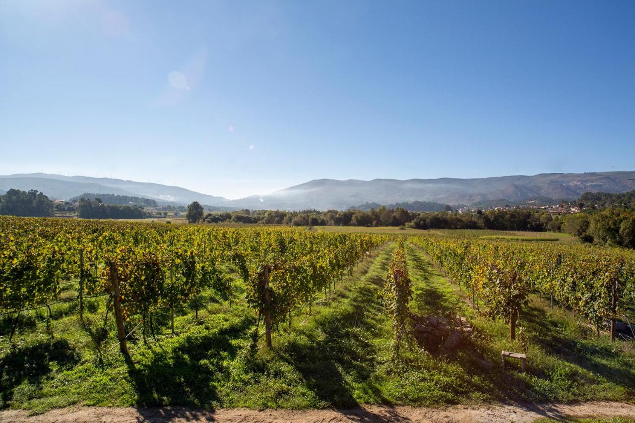 Quinta De Vila Nova - Agroturismo Monção エクステリア 写真